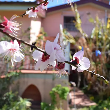 Arbatax, 200 Metres From The Beach: Apartment In Villa With Garden, 2 Bedrooms Exterior photo