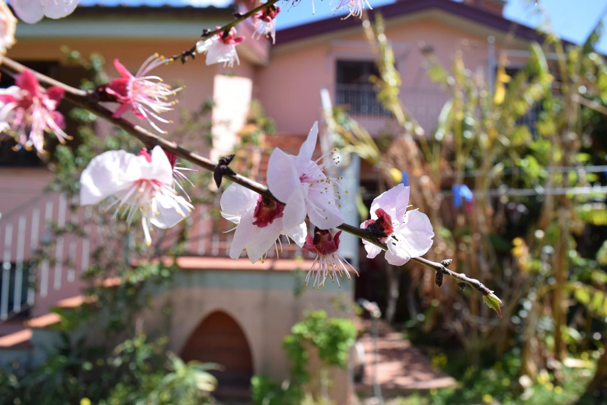 Arbatax, 200 Metres From The Beach: In With Garden, 2 Bedrooms Apartment Arbatax